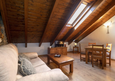 Apartamentos Casa Aneta Sarvisé
