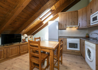 Apartamentos Casa Aneta Sarvisé