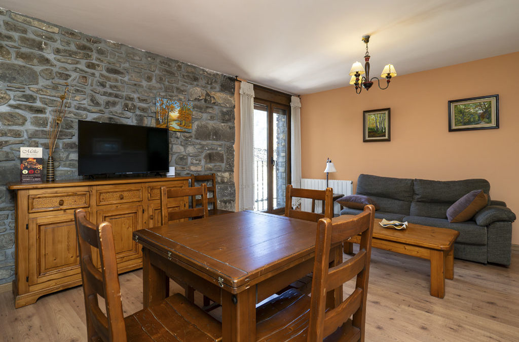 Apartamentos Casa Aneta Sarvisé