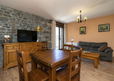 Apartamentos Casa Aneta Sarvisé