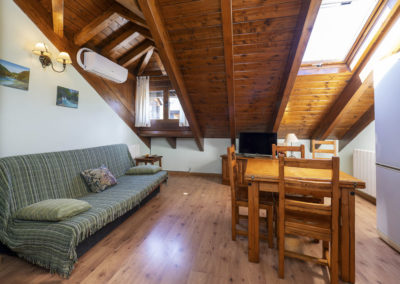 Apartamentos Casa Aneta Sarvisé
