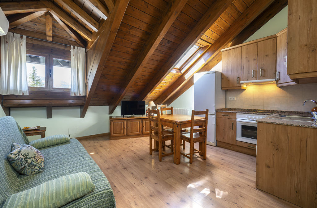 Apartamentos Casa Aneta Sarvisé