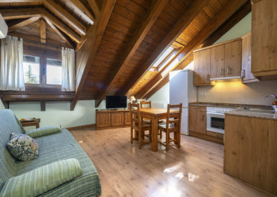 Apartamentos Casa Aneta Sarvisé