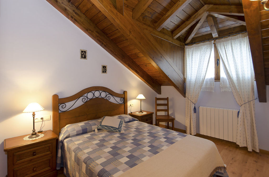 Apartamentos Casa Aneta Sarvisé